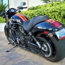 Harley-Davidson VRSCDX Night Rod Special «Special3»