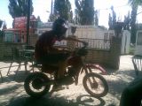hamili