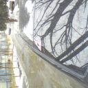 picture_00010