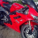 Triumph Daytona 675 «Daytona 675»