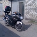 Honda CBR 1100 XX Super Blackbird «CBR 1100 XX Super Bl»