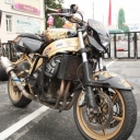 Honda CBR 900 RR Fireblade «CBR 900 RR Fireblade 3»