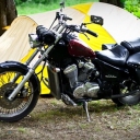 Honda STEED 600 «STEED 600»