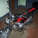 pocket bike china «IRBIS Alpha 110cc»