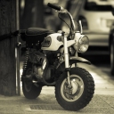 Honda Monkey 50 «Monkey»