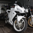 Honda CBR 600 RR «RR»