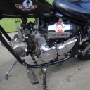 Regal Raptor DD50E «Regal Raptor DD50e Bobber»