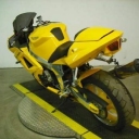 Triumph Daytona 650 «Daytona 650»