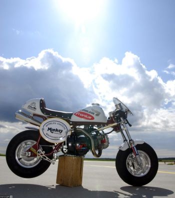 Самый быстрый Honda Monkey