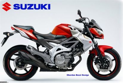 Oberdan Bezzi: Suzuki SFV 650 Gladius S