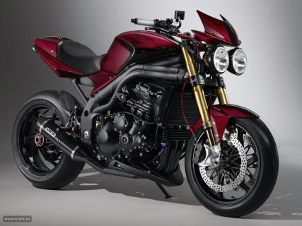 Специальный выпуск 2010 Triumph Speed Triple