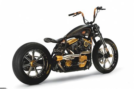 Кастом Roland Sands Black Beauty