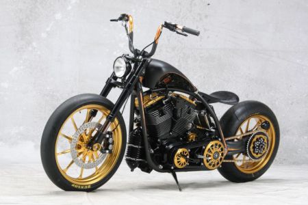 Кастом Roland Sands Black Beauty