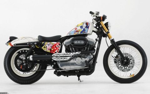 Яркий Harley-Davidson 883 Sportster как агитационный инструмент 