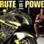 2008_Suzuki_Hayabusa_spider_silva_5