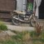 DSC00293 (3)