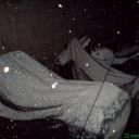 DSC01568