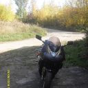 x_82013031