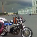 srad3