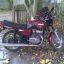 x_040250d5